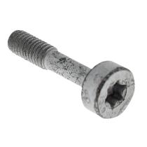 STIHL 90223731025 - Tornillo cilindrico IS-M5x23 mm